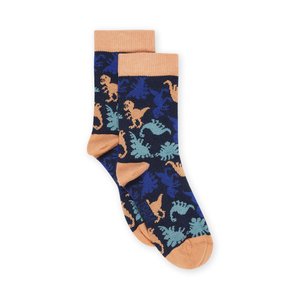 Παιδικές Κάλτσες για Αγόρια Blue DInosaurs