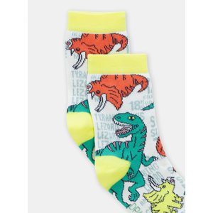 Παιδικές Κάλτσες για Αγόρια Multicolour Dinosaurs